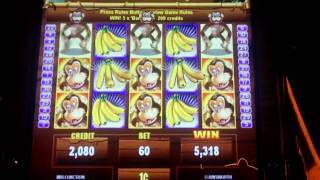 Jungle Monkeys Slot Bonus - Ainsworth screenshot 2