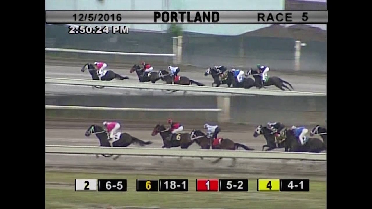 Portland Meadows Racing Tribal Money 2016 12 05 Portland Meadows Race 5 - YouTube