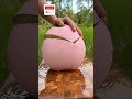 Gorgeous Coconut