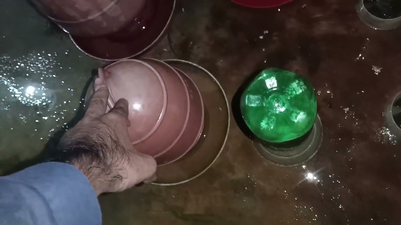 পাখিদের রাতে খাবার ও পানি দিয়ে দিলাম 