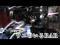 日本初!?ワニのいるBARが凄過ぎた・・・!