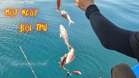 Câu Cá Mùa Biển Động - Gặp Ngày Trời Êm Một Ngày Bội Thu Cá Đổng