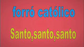 Video thumbnail of "Santo,santo,santo"