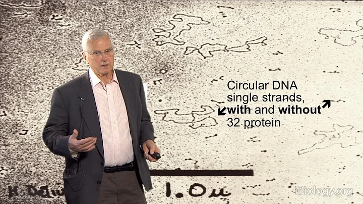 DNA Replication - Bruce Alberts (UCSF/Science Magazine)