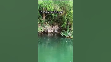 Whopper plopper GIANT !!