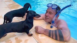 Holiday Diary Dachshund gives kisses by the pool.