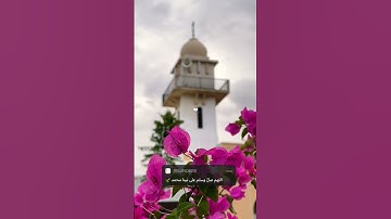 قال ربي اشرح لي صدري | سورة طه | القارئ شريف مصطفى ❤️ ارح سمعك