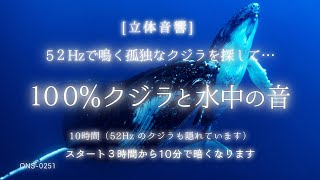 【睡眠用BGM・クジラ 鳴き声・52Hzの鯨】52Hzで鳴くクジラを探して…100%クジラの鳴き声 | 水中 音 睡眠 |水の音 睡眠| 鯨の鳴き声 |海の中の音|深海の音|ASMR|ONS-0251