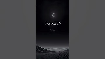 ما أجمل تلاوة الشيخ محمد اللحيدان