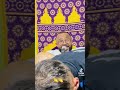 حكيم حمودة يالي خوه كيف خويا حكيم حمودة يالي خوه كيف خويا