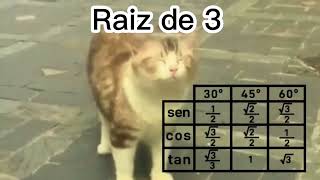 Video thumbnail of "Gatito Bailando Canción de Matemáticas (Subtitulado)"