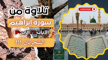 258 - 📖 كلمة طيبة كشجرة طيبة 🌿 تثبت في الأرض وتعلو إلى السماء | تلاوة خاشعة من سورة إبراهيم ٢٤–٣٠