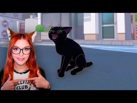 Видео: Блэк Кити в Биг Сити 😼 Валера Гостер (Valera Ghosther) Реакция