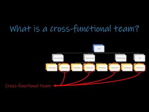 ভিডিও: নিচের কোনটি ক্রস ফাংশনাল টিমের সুবিধা হবে?