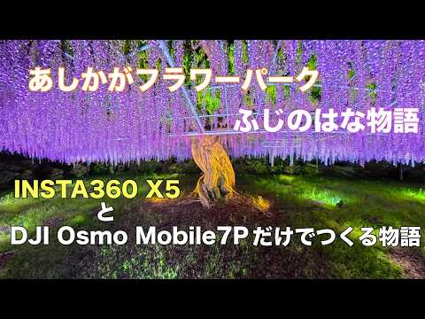 栃木県あしかがフラワーパーク「ふじのはな物語」ライトアップInsta360 X5とDJI OSMO MOBILE 7P物語