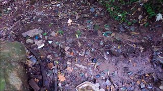 Found HUGE Untouched Antique Bottle Dump in City Creek: Part One