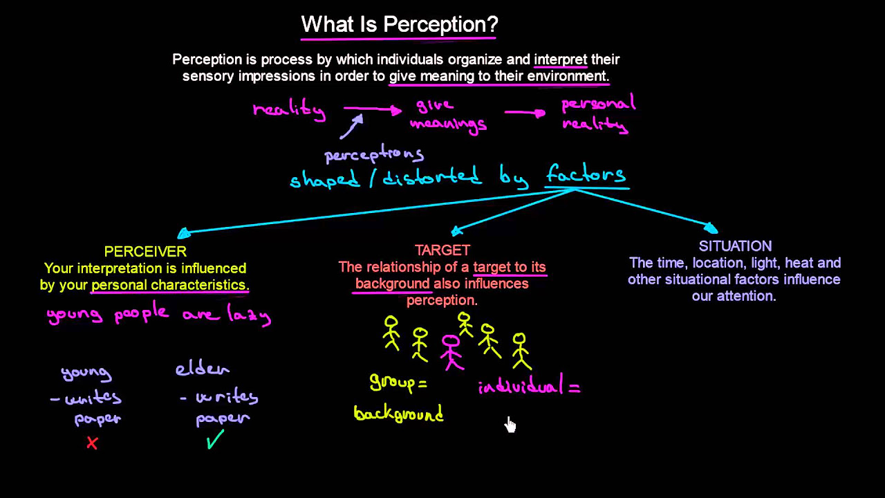 behavior คือ  New Update  What is Perception | Organisational Behavior | MeanThat