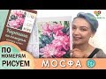 Раскраска по номерам МОСФА! Рисовать просто! Обзор картины перед началом раскрашивания!