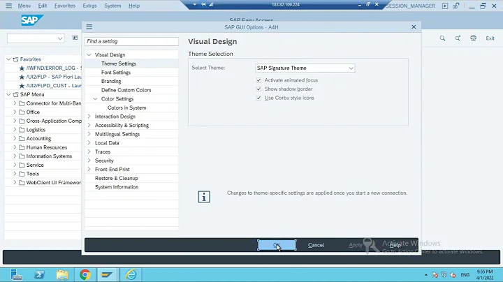 change SAP GUI visual theme
