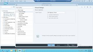 change SAP GUI visual theme screenshot 4