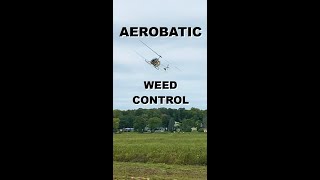 Cool Helicopter Maneuvers During Weed Control Resimi