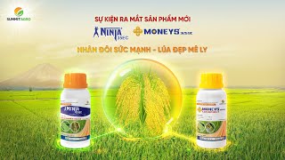 Sự kiện ra mắt Bộ đôi sản phẩm NINJA 35EC - MONEYS 325SC 🌾🌾🌾