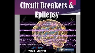 Circuit Breakers & Epilepsy
