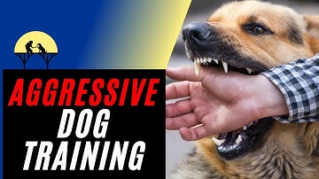 Most Complete Aggressive Dog Training Tutorial (using Positive Reinforcement)