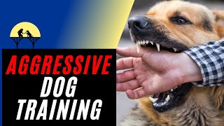 Most Complete Aggressive Dog Training Tutorial (using Positive Reinforcement)