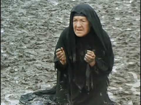 ნატვრის ხე - \"საიდან მოდის სილამაზე\" (The wishing tree)