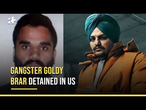 Sidhu Moose Wala Murder Mastermind Goldy Brar Detained In US - INDIATIMES
