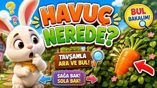 Havuç Nerede? 🥕🐰 | Tavşan Havuç Arıyor | Eğlenceli Çocuk Oyunu & Şarkısı