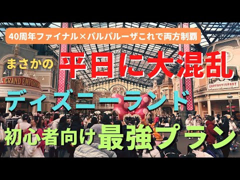 【ディズニーランド】早朝に案内終了。閑散期終了のパーク 初心者必見の最強プランをご紹介!