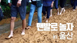 태화강국가정원 야외공연장 영상