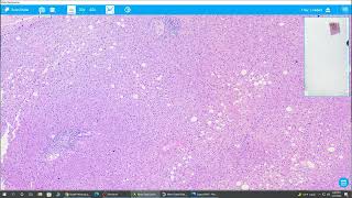 Motic EasyScan Remote Microscope & Slide Scanner - Complete Overview screenshot 3