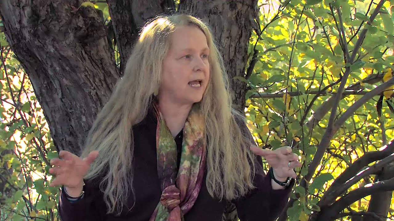 Transformational Eco-Psychology