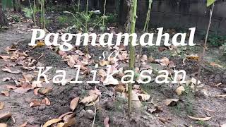 Module 11 ESP 10 Pagmamahal sa Kalikasan