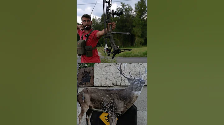 Day 25 #hunting #archery #bowhunting #deerhunting #bucks #whitetails #outdoors #shooting #deer #bow