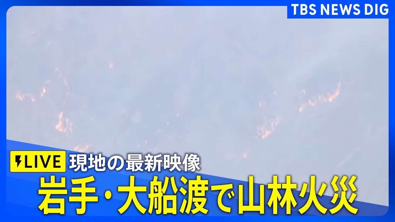 【空撮ライブ】岩手・大船渡で山林火災（2025年2月27日）｜ TBS NEWS DIG