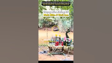 Thần rắn không lồ được phát hiện ở Thái Lan #tintuc #thailand #tamlinh
