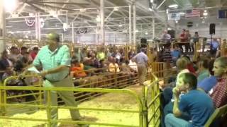 2012 Indiana State Fair Reserve Spot Boar Sale