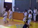 Karate techniques kihon tskd