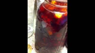 Step by Step How to Make Muscadine Wine