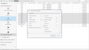 NewNet Services: CMS Bulk Update