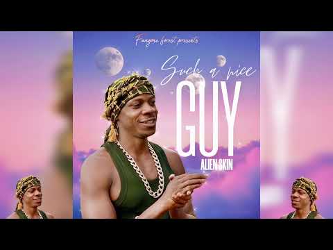 Such A Nice GUY Alien Skin Official Audio Music