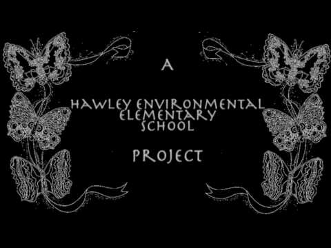 Arts @ Large: Hawley Environmental School Project