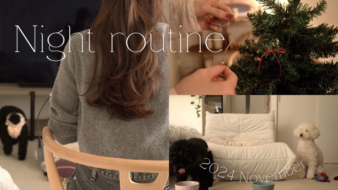 Night routine/ゆっくり過ごせた夜の時間🌙/好きな事をする/重ねて作る暖かいごはん/クリスマスツリーの飾り付け🎄/読書📚/