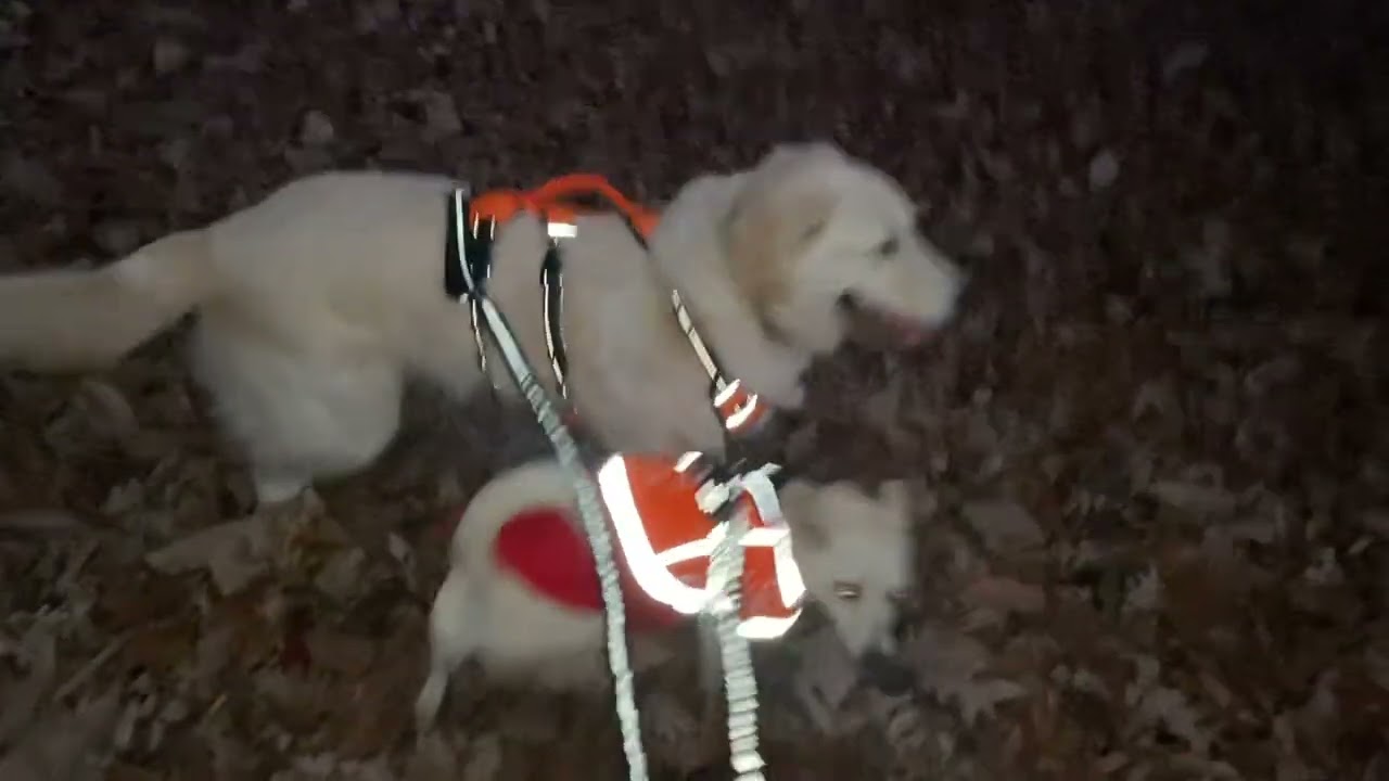 Night hiking Sontag Recreation Park