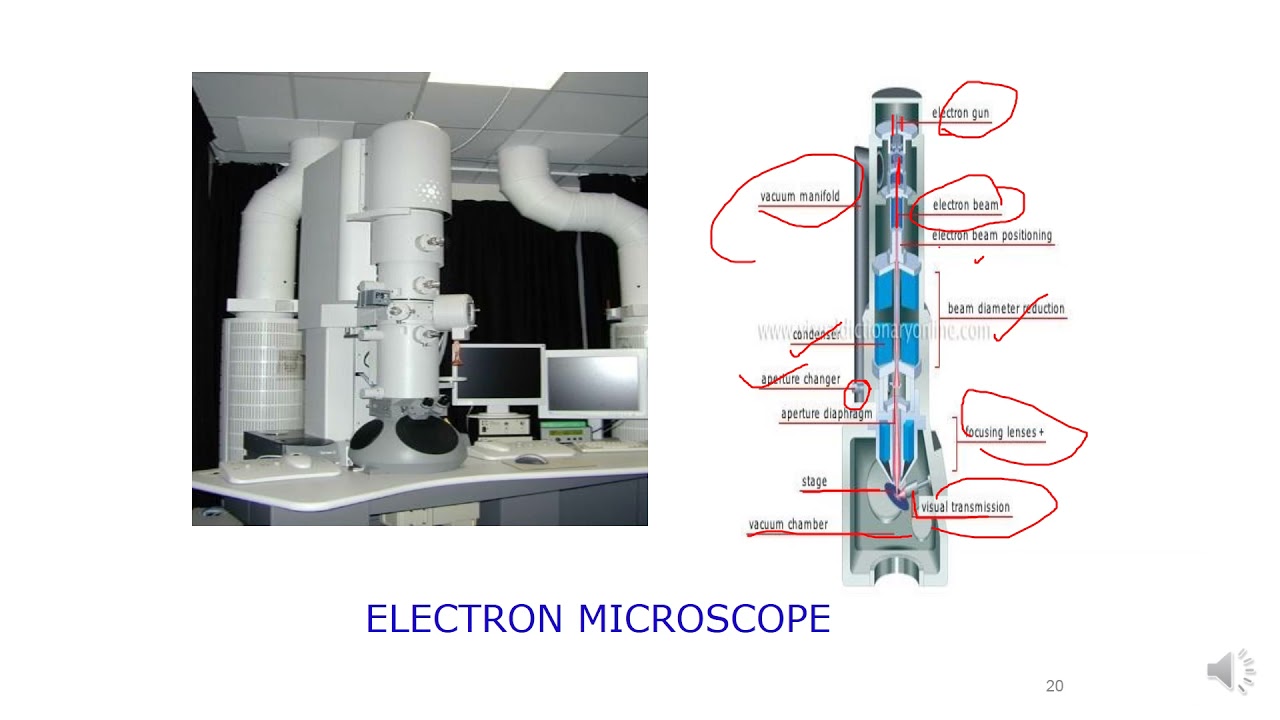 poperties of colloides