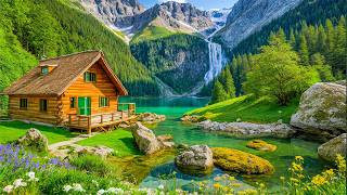 Deep Relaxation, Mental Clarity 🌿 Relieves Stress and Anxiety, Calms the Mind #6